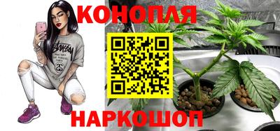 гашишное масло Гусев