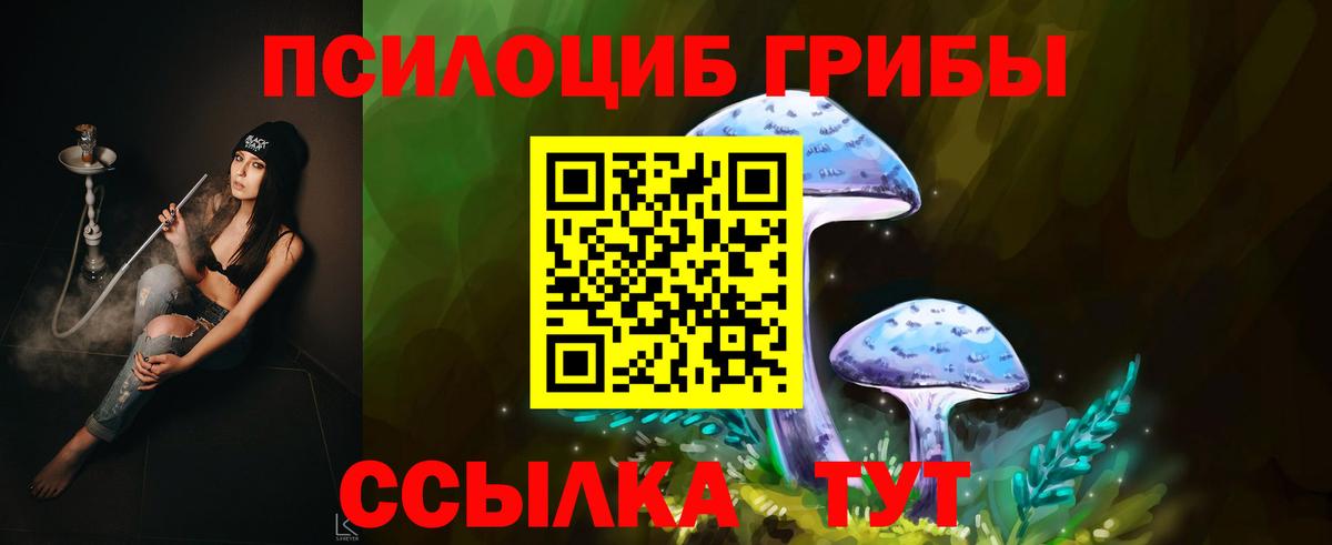 Назрань  Псилоцибиновые грибы прущие грибы  Псилоцибиновые грибы Psilocybe  Вход с VPN 
